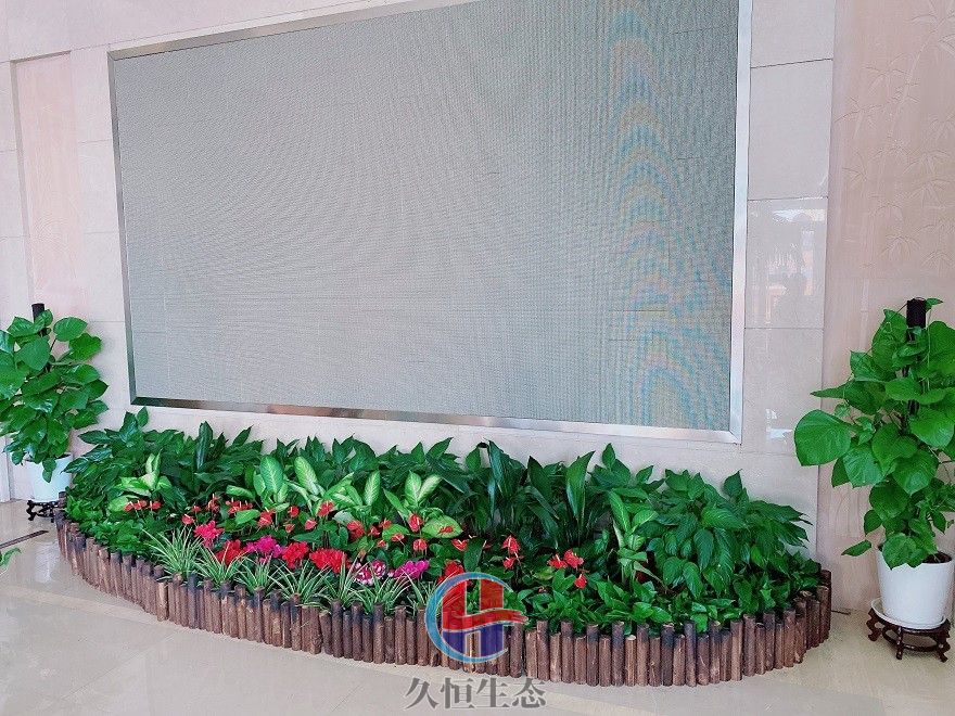 临海企业大厅显示屏组合花卉绿植摆放